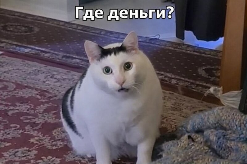 Фото из отткрытых источников