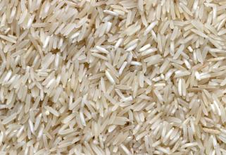 В Сургуте придумали съедобную посуду из риса