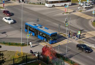 Сургутские власти опубликовали новую маршрутную сеть