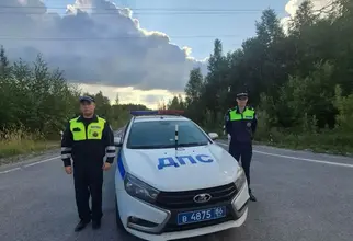 В ХМАО автоинспекторы помогли укушенной змеей женщине